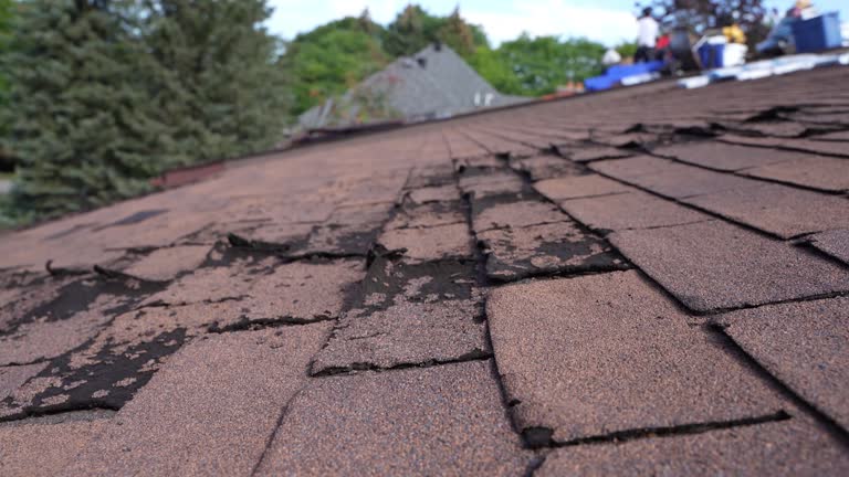 Best Sheet Metal Roofing  in Perkasie, PA